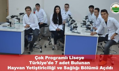 BEYLİKOVA ÇOK PROGRAMLI ANADOLU LİSESİ