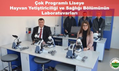 BEYLİKOVA ÇOK PROGRAMLI ANADOLU LİSESİ