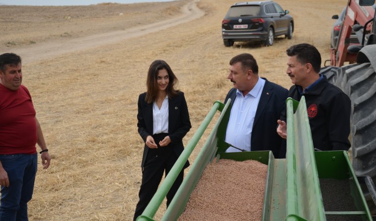 Beylikova Belediyesi atıl durumdaki 4 milyon metrekarelik araziyi yeniden tarıma kazandırdı.