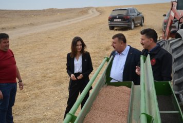 Beylikova Belediyesi atıl durumdaki 4 milyon metrekarelik araziyi yeniden tarıma kazandırdı.
